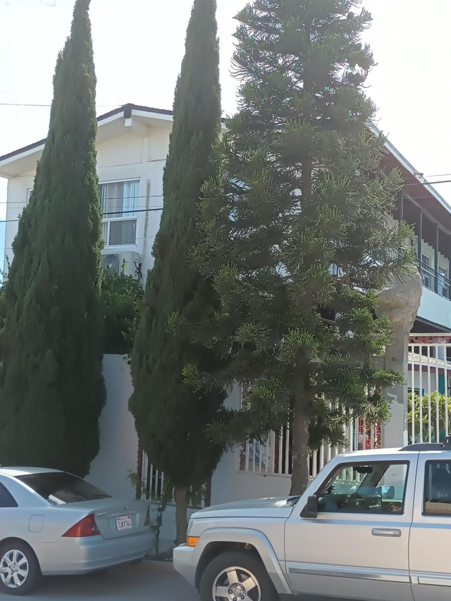 Apartamentos Rosarito.!! Con Vista Al Mar ! Exterior foto