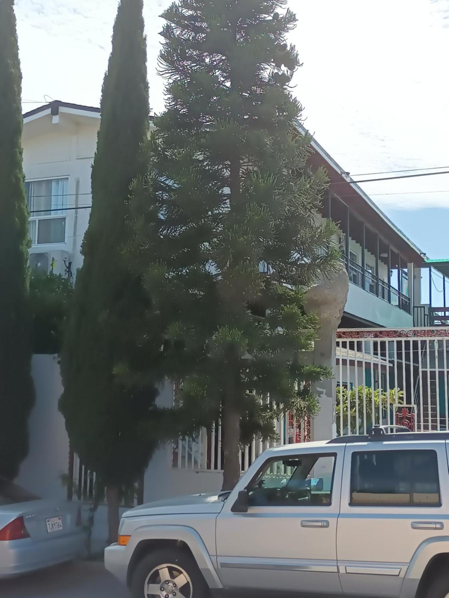 Apartamentos Rosarito.!! Con Vista Al Mar ! Exterior foto